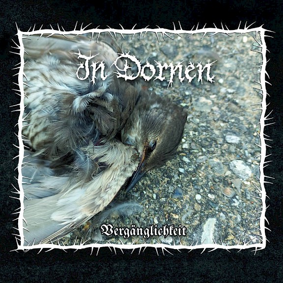 >Ocinn as guest musiscian in Dornen album